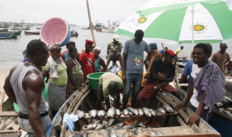 Aumento da exportação de peixe é prioridade em Angola