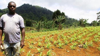 Escassez e aumento de produtos alimentares preocupa população em São Tomé e Príncipe