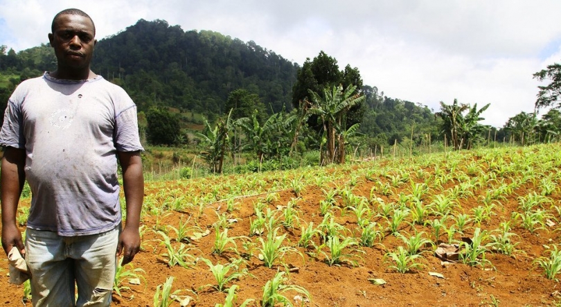Escassez e aumento de produtos alimentares preocupa população em São Tomé e Príncipe