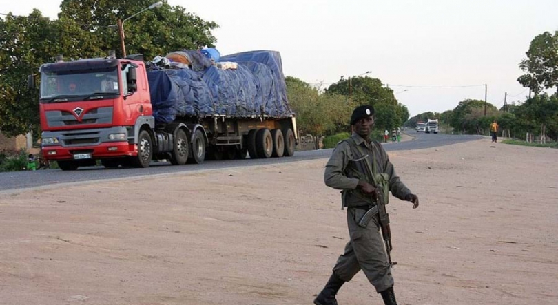Ministra do interior de Moçambique preoucupada com casos de raptos no país
