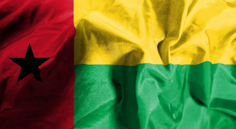 Liga Guineense dos Direitos Humanos acusa a CNE de má fé