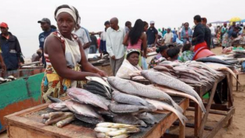 Desafios do setor pesqueiro angolano