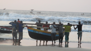 Moçambique produziu 218 mil toneladas de pescado