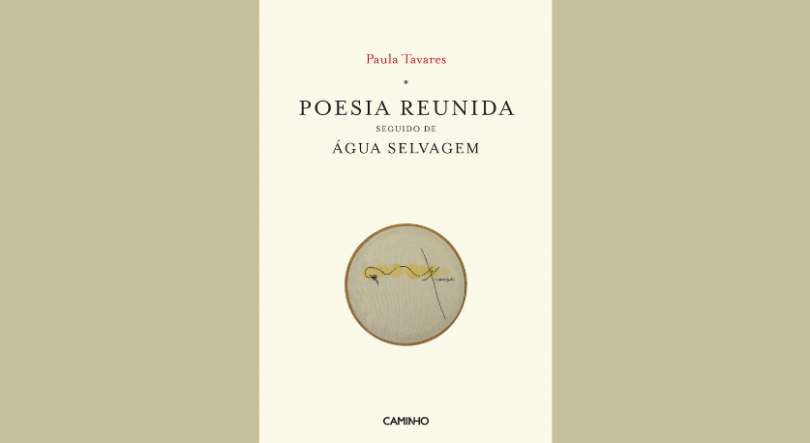 Lançamento do livro “Poesia Reunida Seguida de Água Selvagem”, de Ana Paula Tavares