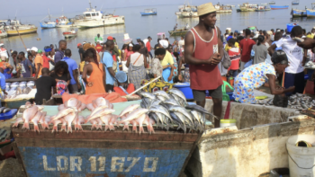 Associação de Pesca Artesanal, Semi-Industrial e Industrial de Luanda quer melhores índices de captura