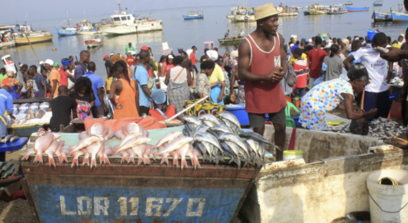Associação de Pesca Artesanal, Semi-Industrial e Industrial de Luanda quer melhores índices de captura
