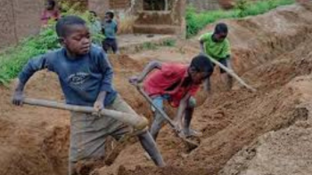 Autoridades angolanas resgatam crianças que trabalhavam em fazendas