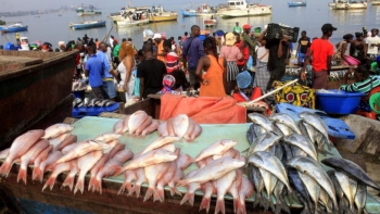 Angola quer reforçar fiscalização contra pesca ilegal e proteger espécies