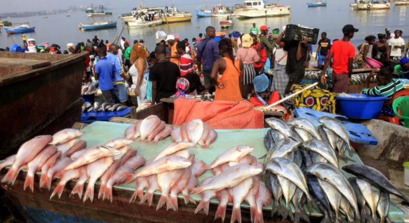 Angola quer reforçar fiscalização contra pesca ilegal e proteger espécies