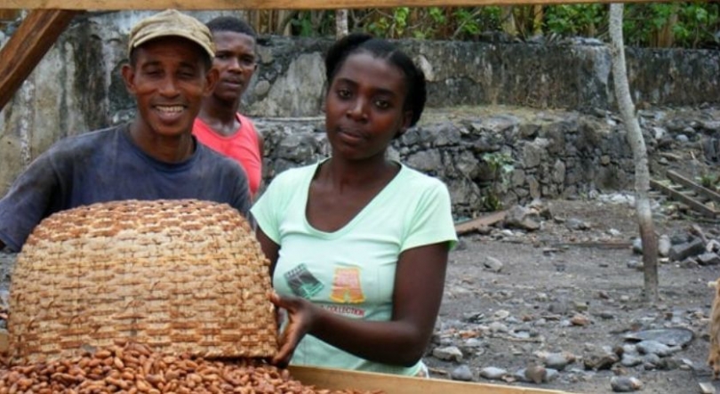 Cacau são-tomense reconhecido como Património Agrícola Mundial pela FAO