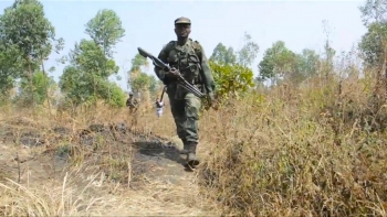 Imagem de RDC: estados unidos pronunciam-se sobre crise no leste do país
