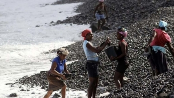 Imagem de Cabo Verde apresenta estudo sobre género e mudanças climáticas