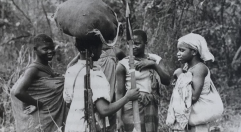 Imagem de Das lutas anticoloniais às lutas do quotidiano: lugares das mulheres nos 50 anos das independências