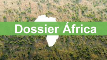 Imagem de Programa da RDP África recebe nota de mérito no Prémio Mário Soares