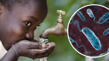 Imagem de RDP África lança campanha contra a Cólera em Moçambique