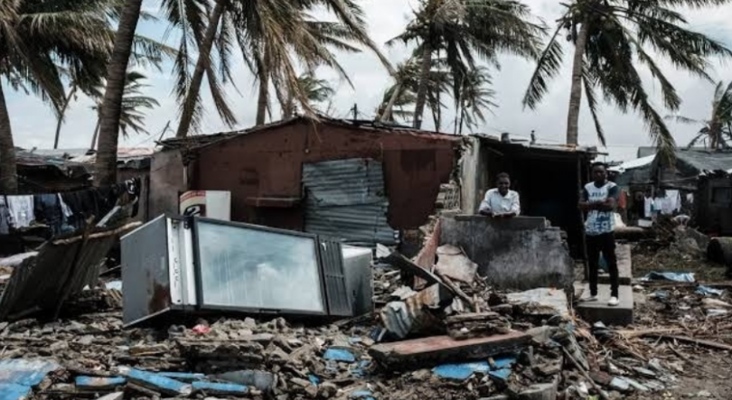 Imagem de Gezani mata em Madagáscar